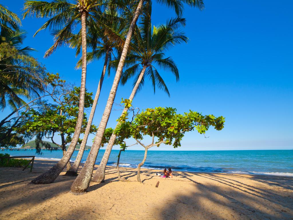 Beautiful tropical beach with palm trees. Cairns, Australia