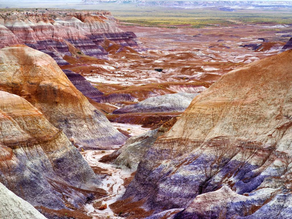 Petrified Forest National Park, Arizona, USA with striped purple sandstone formations of Blue Mesa badlands.