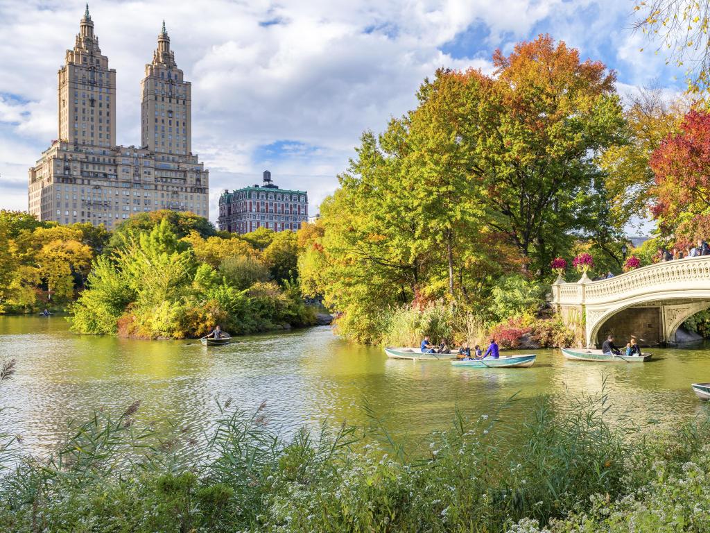 Central Park, New York, USA taken at fall with beautiful foliage colors, the bridge in the edge and people in boats in the lake and an iconic building in the distance. 