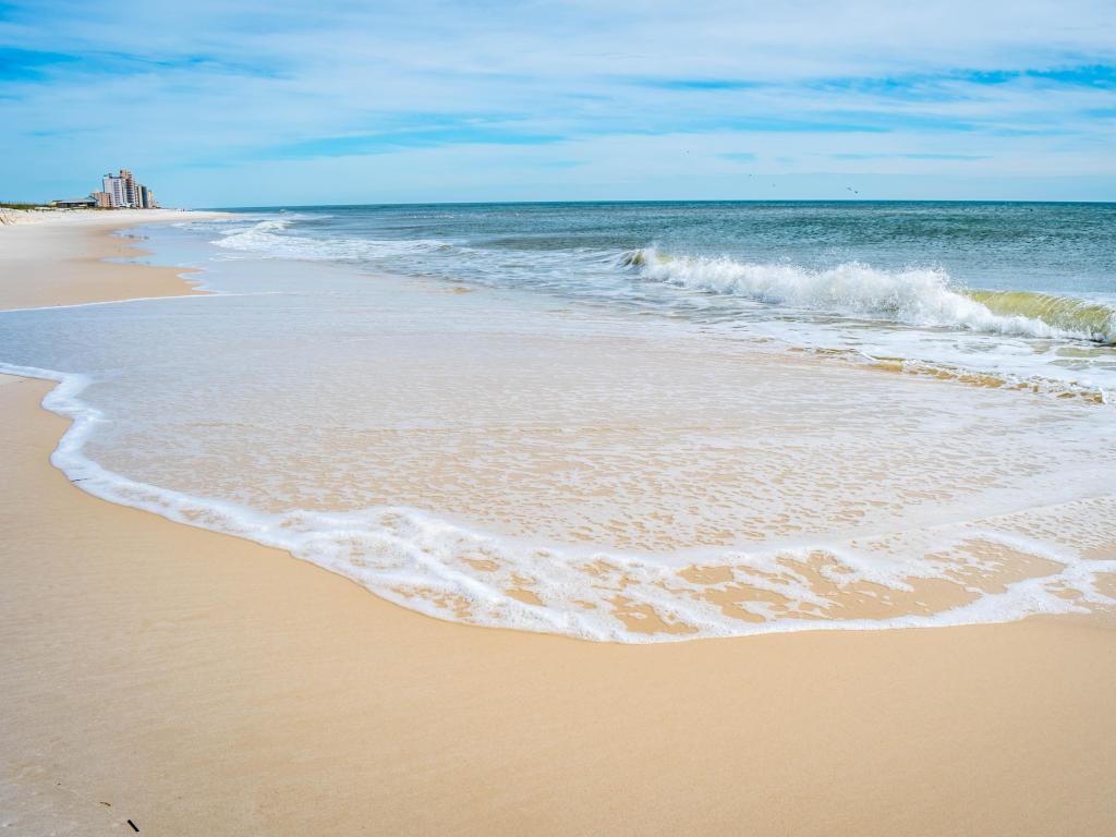 The overlooking view of the shore in Perdido Key State Park, Florida