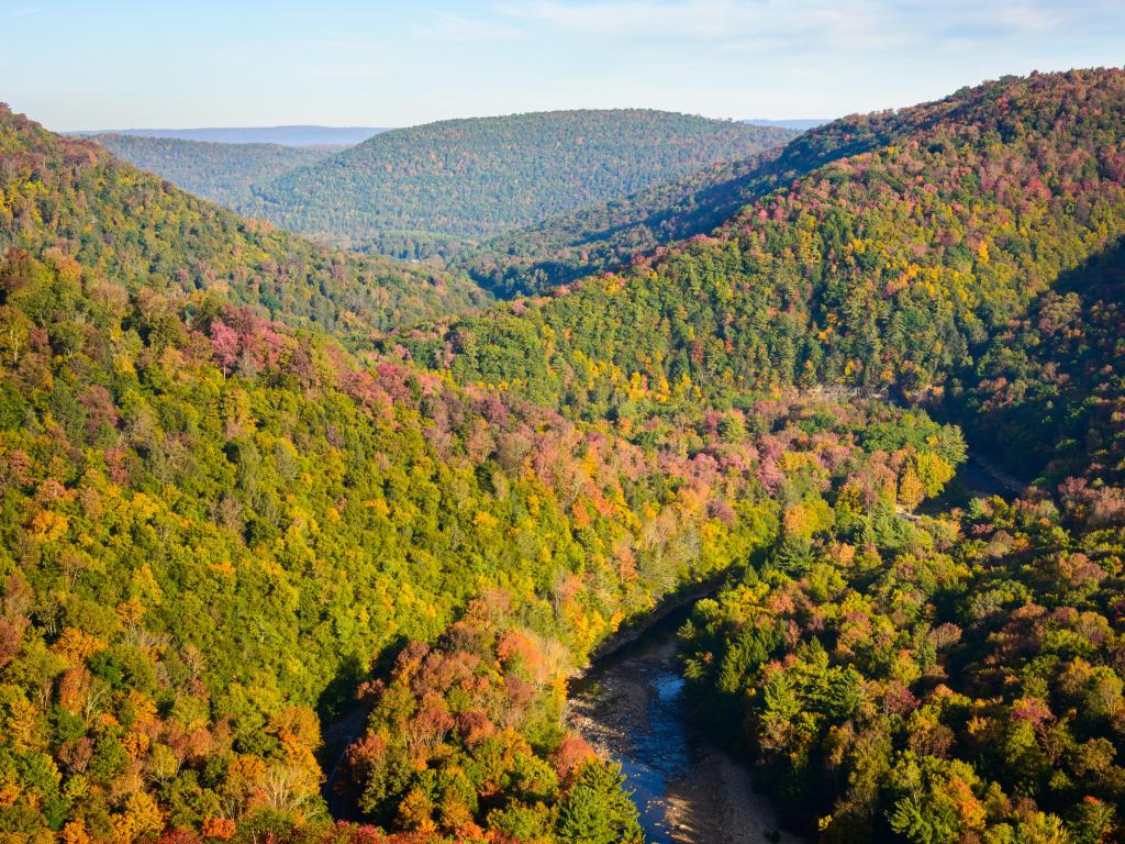 Winding River, Worlds End State Park, Allegheny State Forest, USA with a view of the forest into the distance.