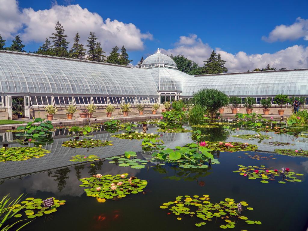 Conservatory building and lily pond of the botanical garden on a sunny day