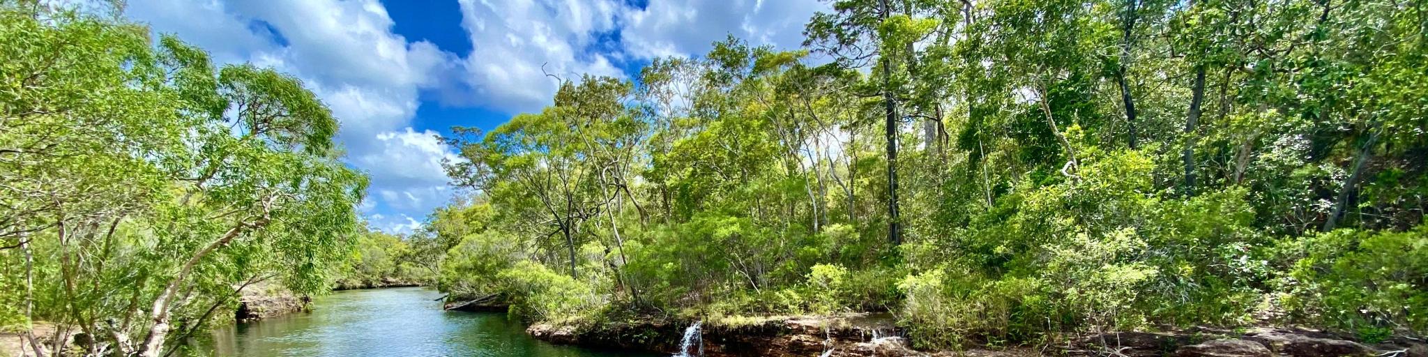 The Saucepan, a shallow creek in the lush vegetation of, Cape York, Australia