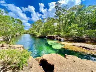 The Saucepan, a shallow creek in the lush vegetation of, Cape York, Australia