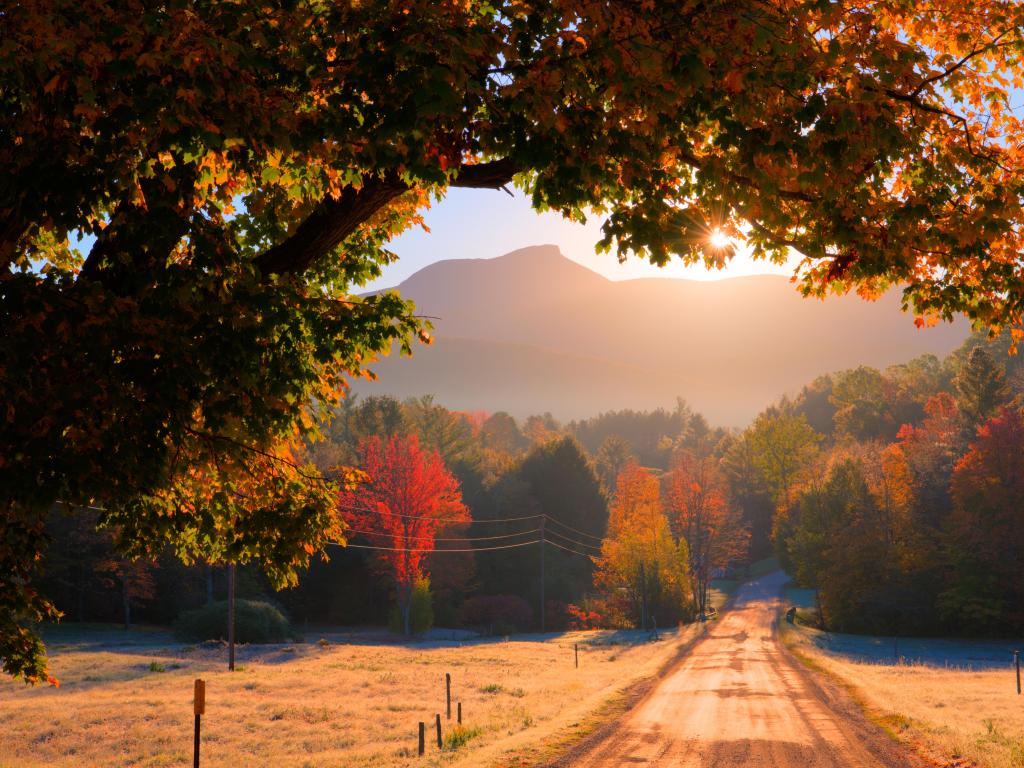 Camel's Hump, Huntington, Vermont, USA with the sun rising over Camel's Hump in the distance, a tall tree in the foreground overhanging the photo and a road leading into the distance at fall. 