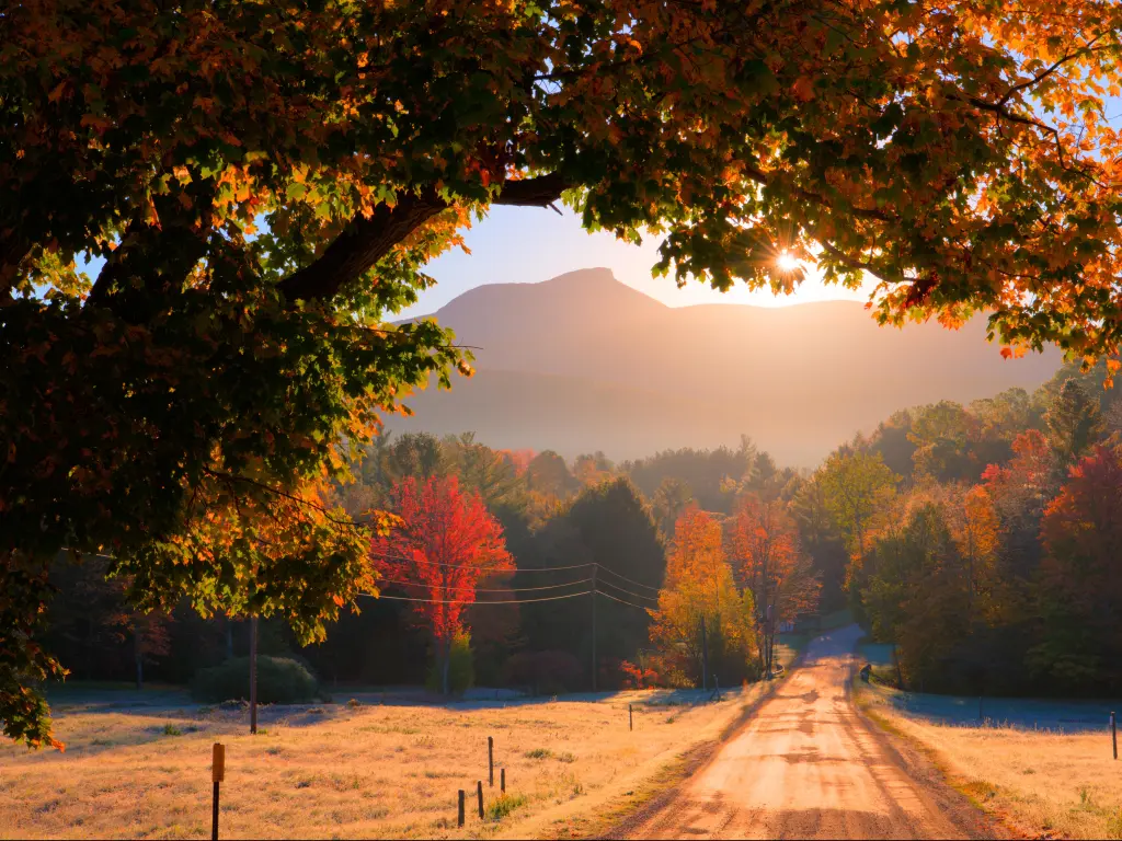 Camel's Hump, Huntington, Vermont, USA with the sun rising over Camel's Hump in the distance, a tall tree in the foreground overhanging the photo and a road leading into the distance at fall. 