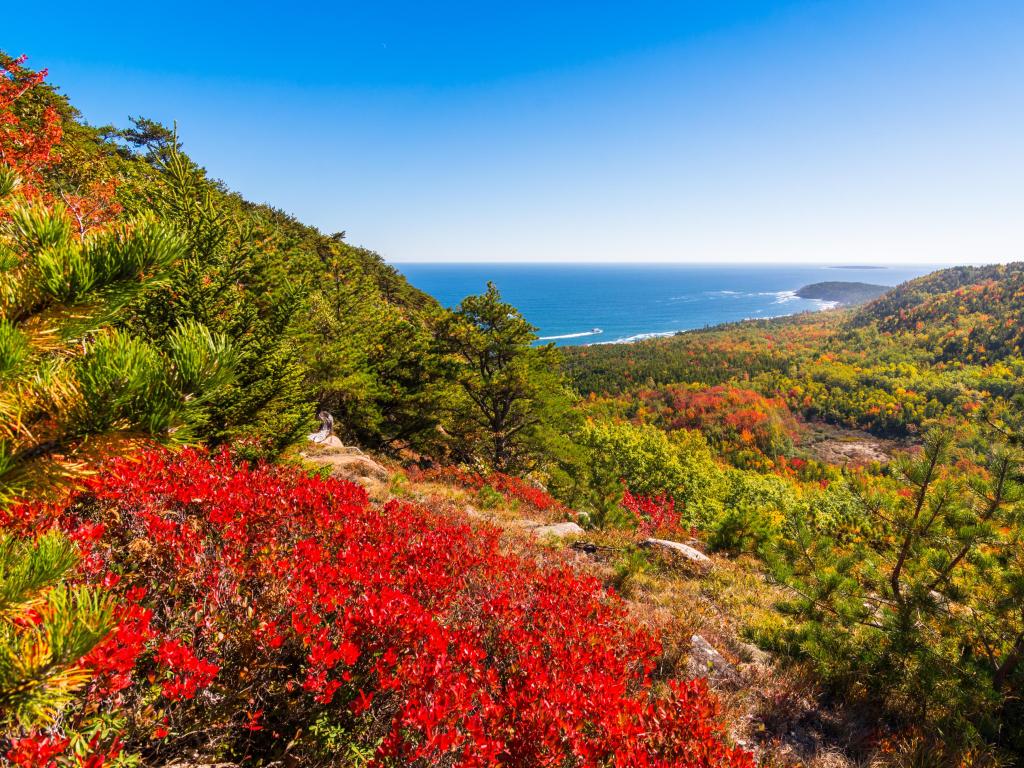 View of Acadia National Park during fall foliage season