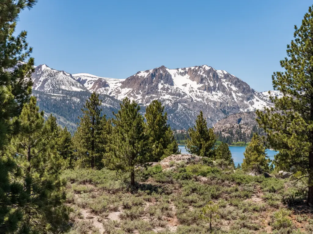 Snowy mountains, surrounded by pine forests, with June Lake in the background