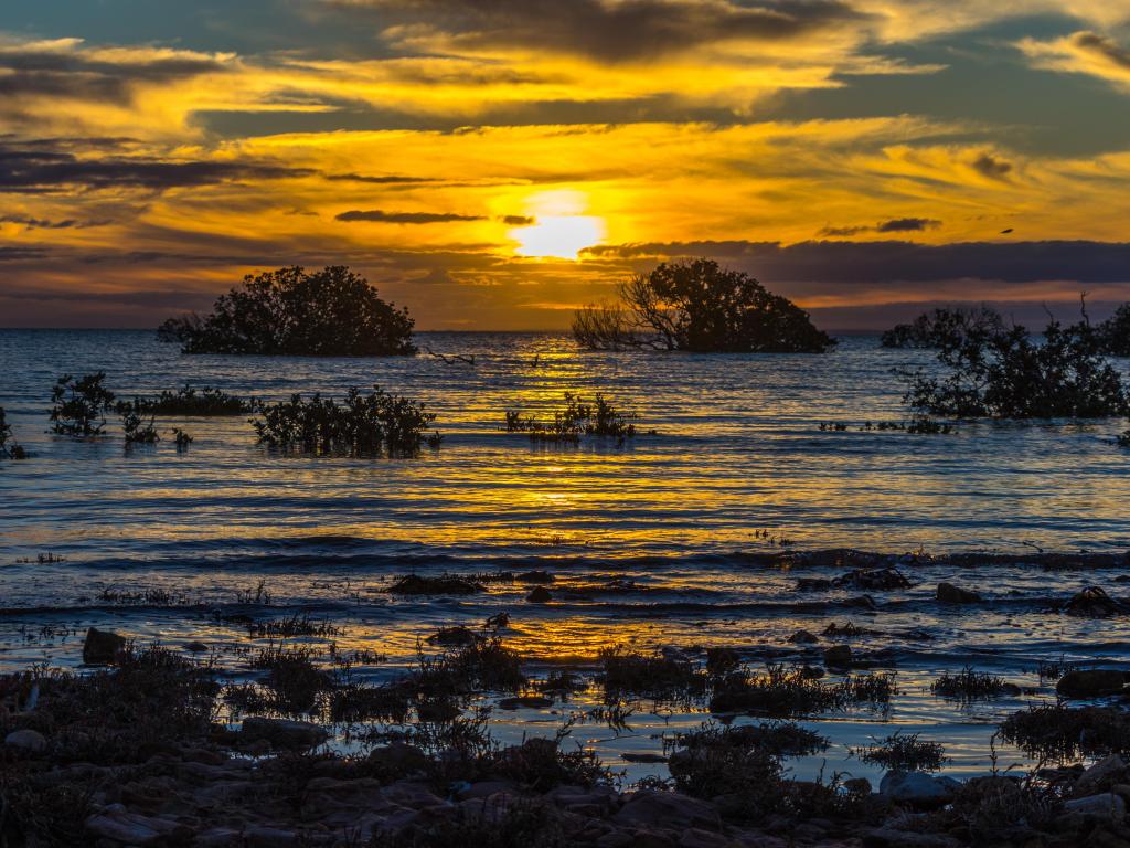 Golden sunset over turbulent sea with dramatic orange and blue colors