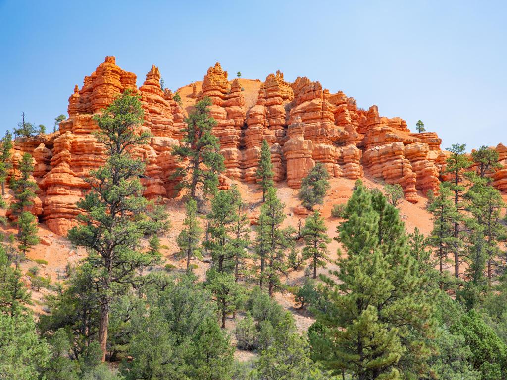 Red Canyon in Dixie National Forest, Utah, USA.