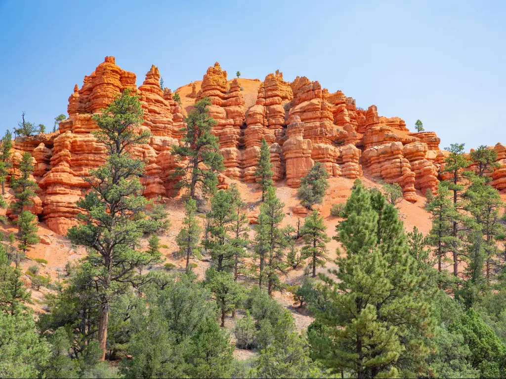 Red Canyon in Dixie National Forest, Utah, USA.
