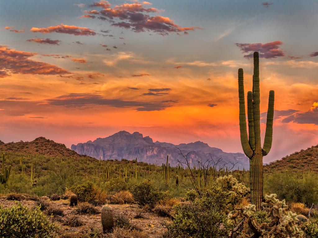 Sunset in the Sonoran Desert near Phoenix, Arizona