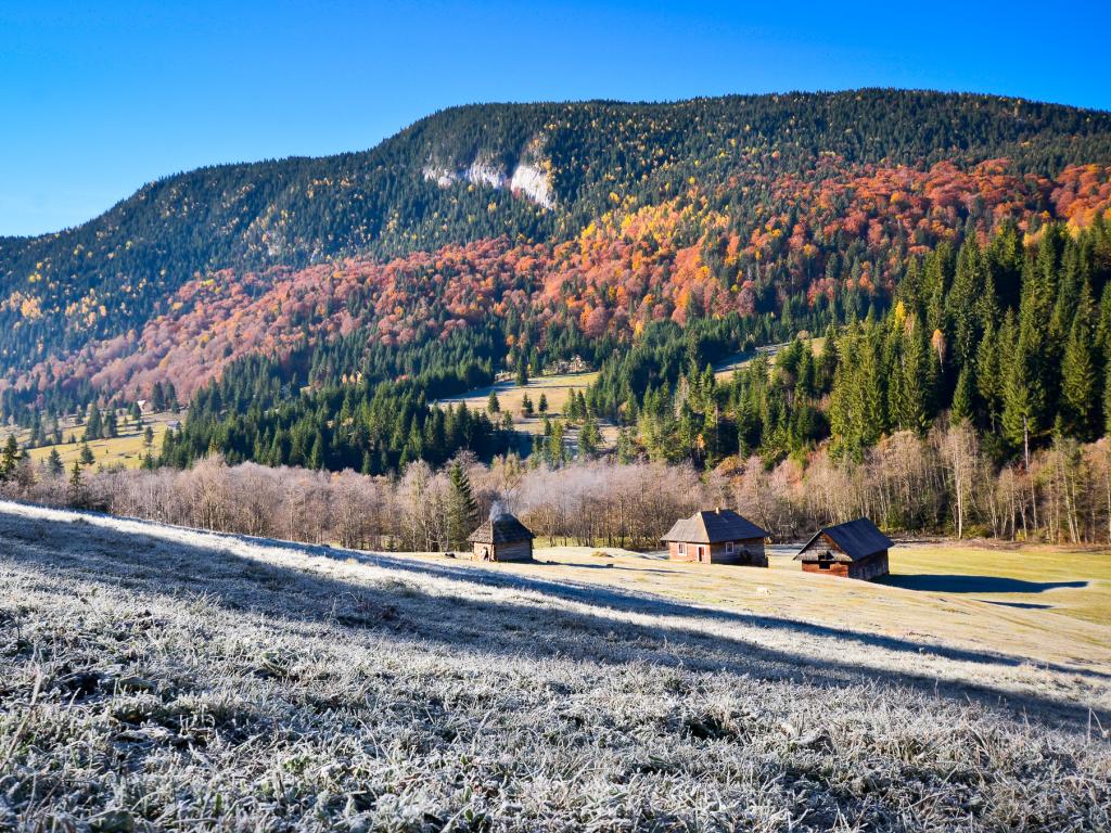 A mountain covered in orange and yellow trees in Transylvania's Raul Bicajel valley