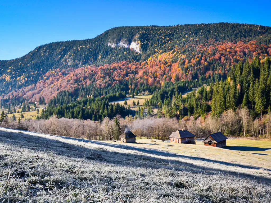 A mountain covered in orange and yellow trees in Transylvania's Raul Bicajel valley