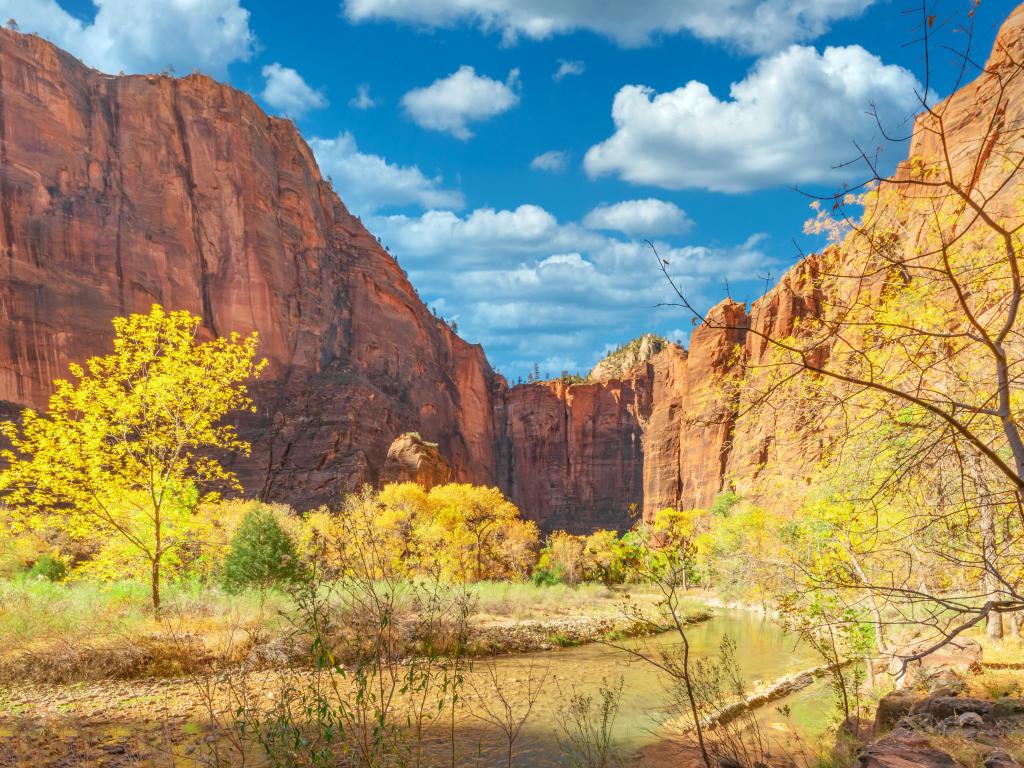 Zion National Park, Utah, USA with beautiful landscapes, views of incredibly picturesque rocks, and mountains on a sunny day.