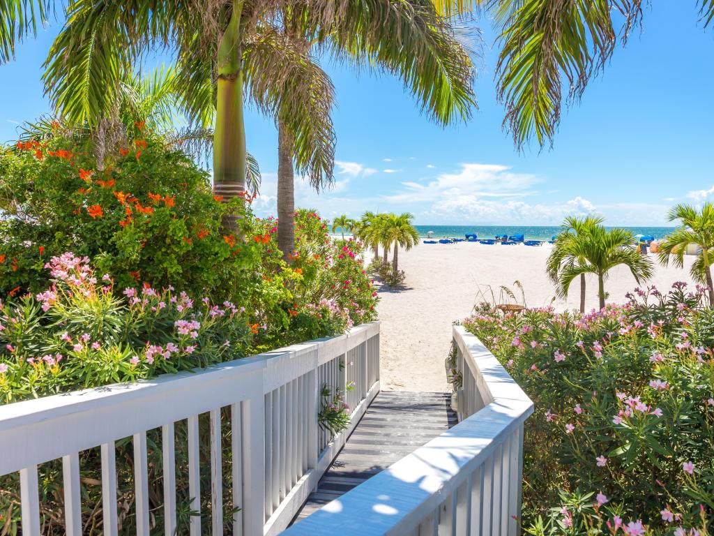 St Petersburg, Florida, USA with a boardwalk to a beach the beach with stunning flowers in the foreground on a sunny day.
