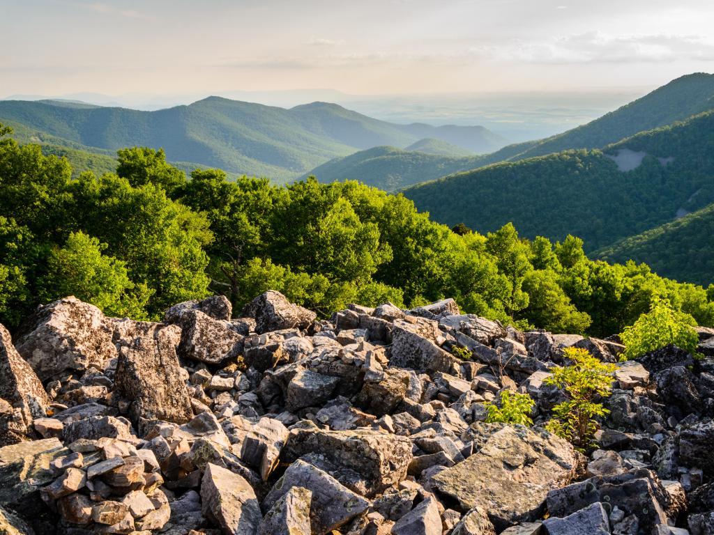 Shenandoah National Park, USA taken at a rugged overlook with green hills in the background and rocks in the foreground. 