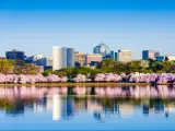 Washington DC, USA taken at the Tidal Basin during cherry blossom season with the Rosslyn Business District cityscape on a sunny day.