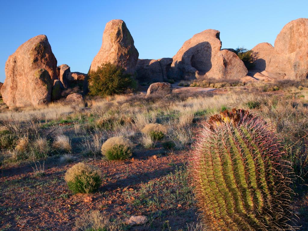 City of Rocks State Park, New Mexico, USA with a cactus in the foreground and rocks in the distance against a blue sky.