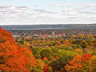 Landscape of Traverse city in Autumn, surrounded by golden trees and the bright clear sky