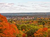 Landscape of Traverse city in Autumn, surrounded by golden trees and the bright clear sky