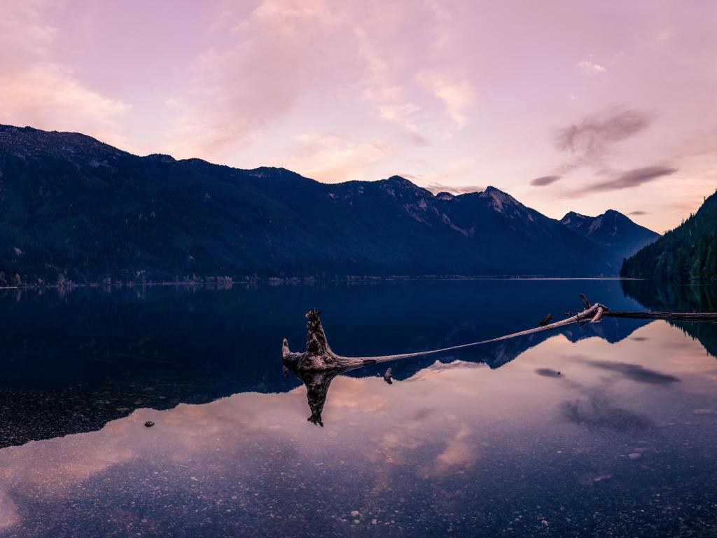 Chilliwack Lake, British Columbia, Canada taken at sunset with the lake in the foreground, driftwood floating in the water and the mountains in the distance.