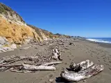 Sun bleached logs, blue sky and aquamarine sea, waves crashing on the sand at Moonstone Beach