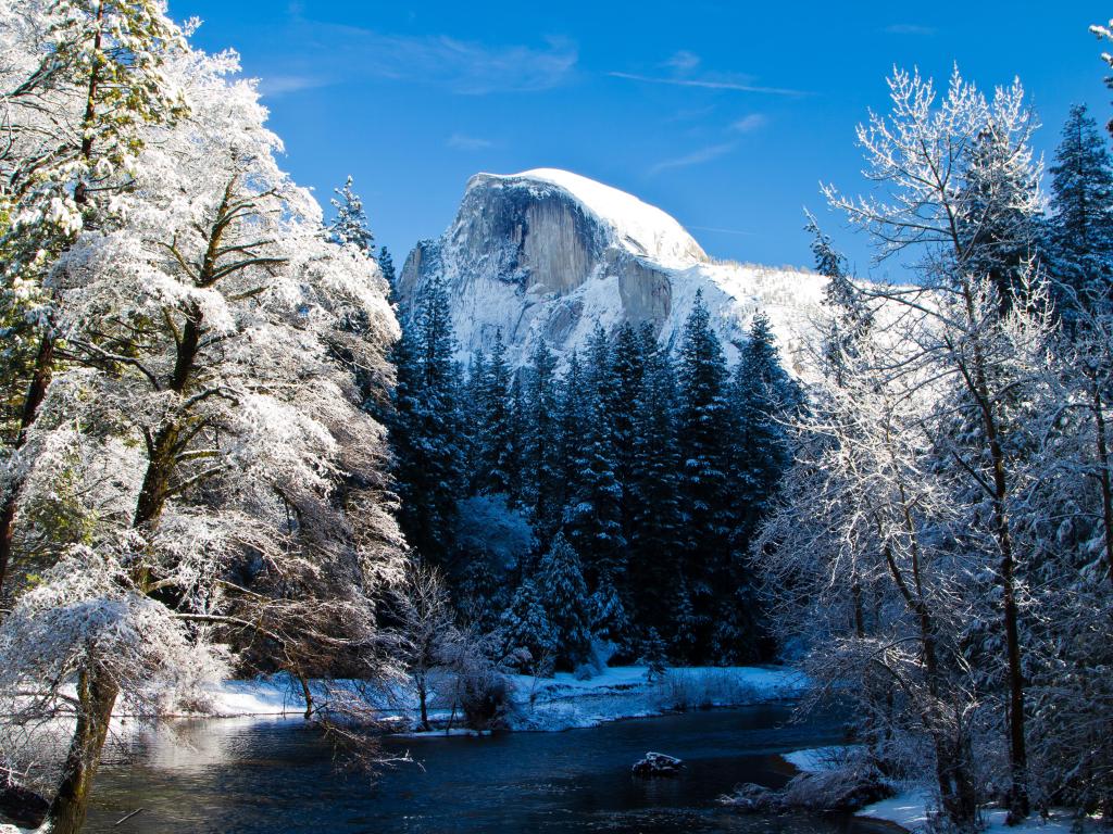 Half Dome view, snow covered mountain cap and trees on a sunny day