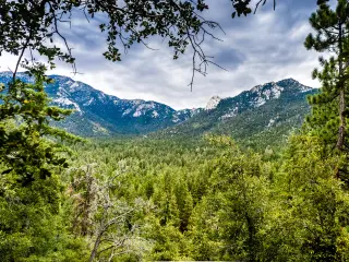 Idyllwild, California, USA