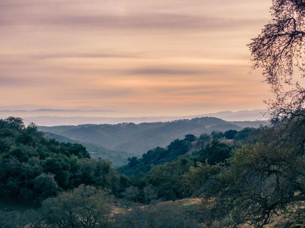 Misty view over wooded valleys with pinky grey sunset sky