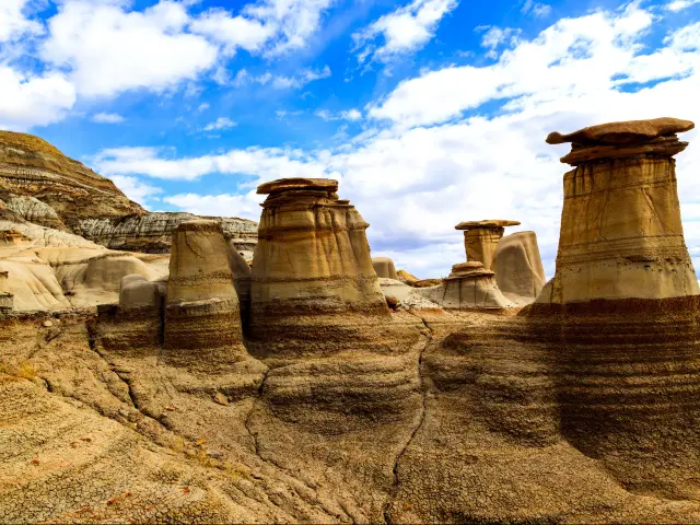 Dinosaur Provincial Park in Alberta, where rich deposits of fossils and dinosaur bones have been found. The park is now an UNESCO World Heritage Site.