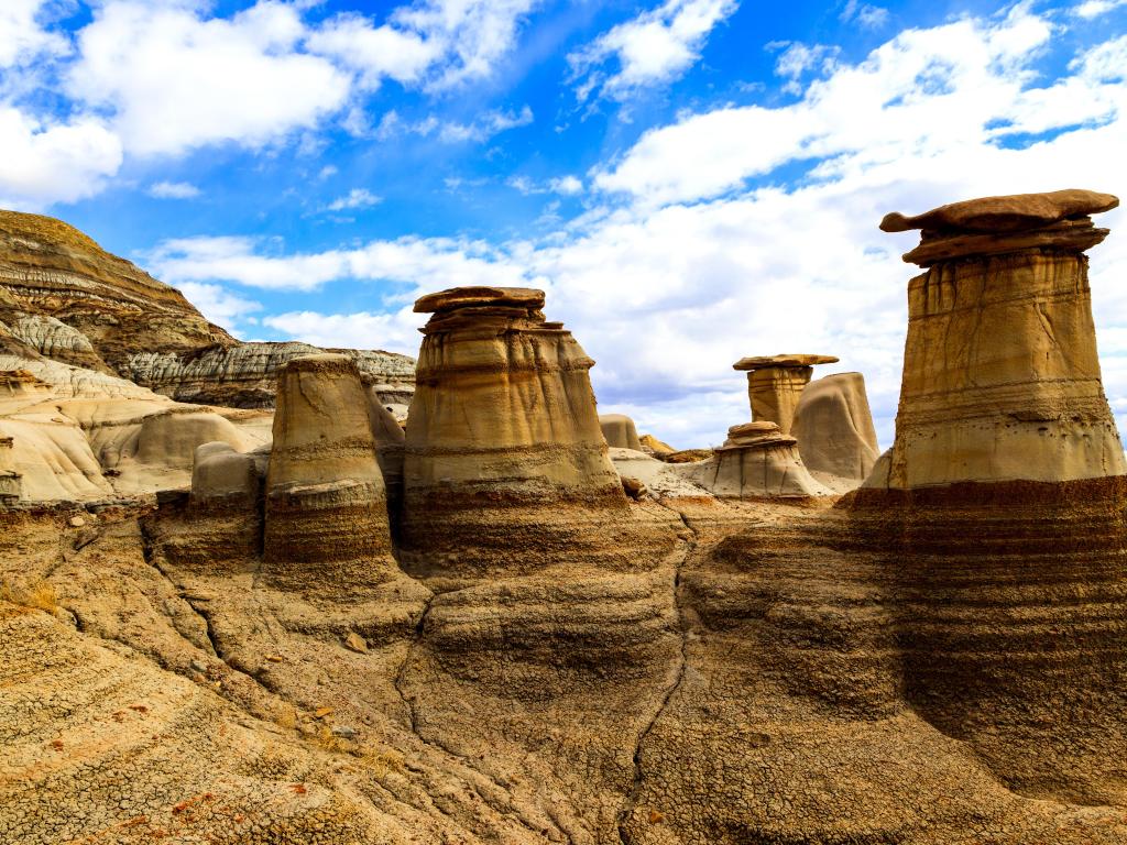 Dinosaur Provincial Park in Alberta, where rich deposits of fossils and dinosaur bones have been found. The park is now an UNESCO World Heritage Site.
