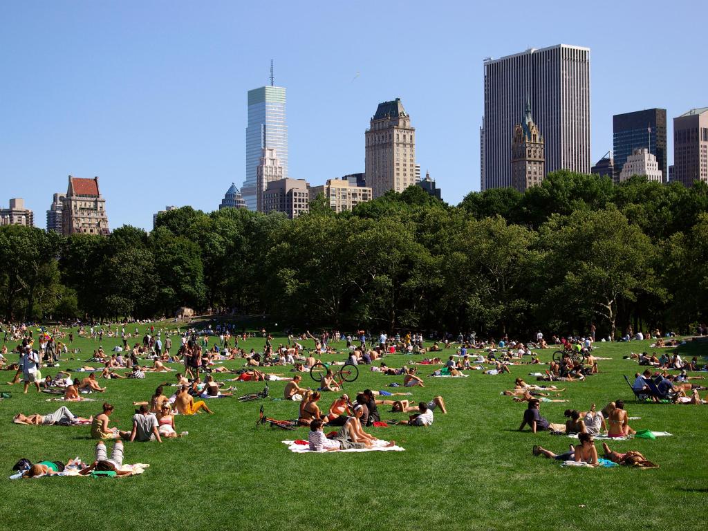 People having picnics and sitting on the grass with the skyscrapers of NYC in the background on a summer day