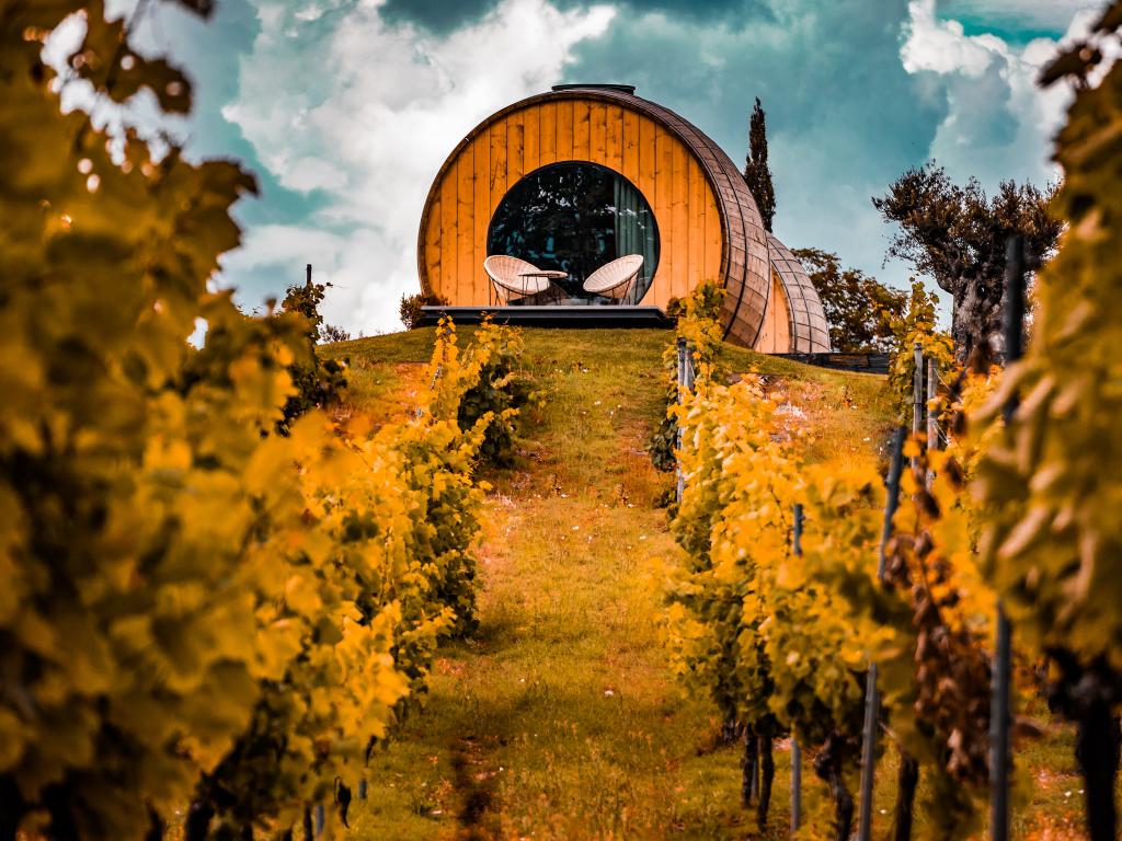 A cabin set in a vineyard in Portugal's Douro Valley, with orange autumn leaves all around