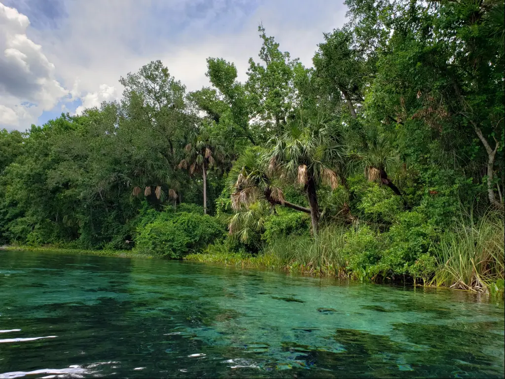 Alexander Springs in the Ocala National Forest
