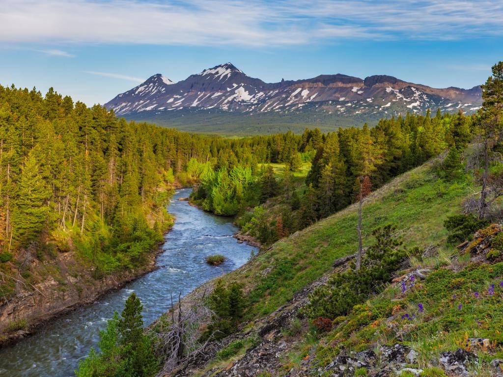 The South Fork of the Two Medicine River in the Lewis and Clark National Forest, Montana, USA