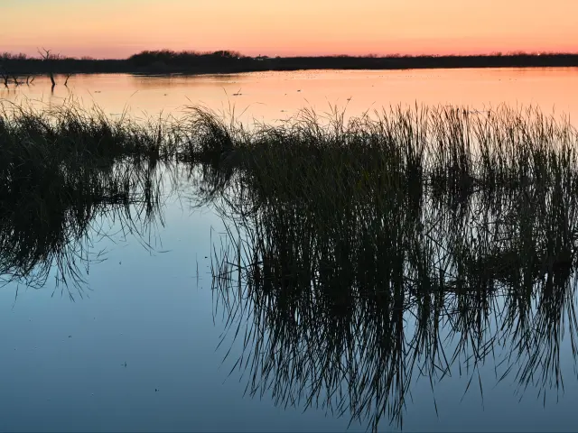 Red tinged sky of Choke Canyon Lake wetland at dusk
