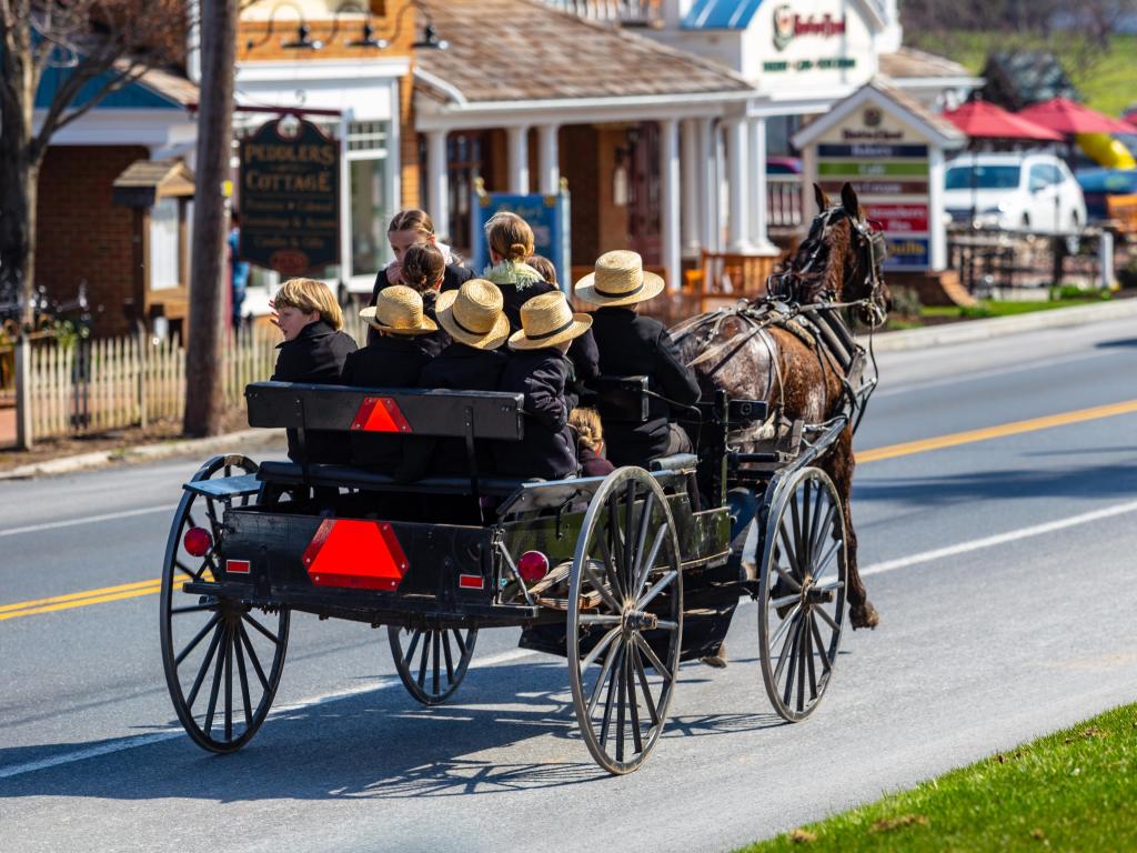 An Amish family fill a buggy on a warm spring day in Lancaster County, Pennsylvania.