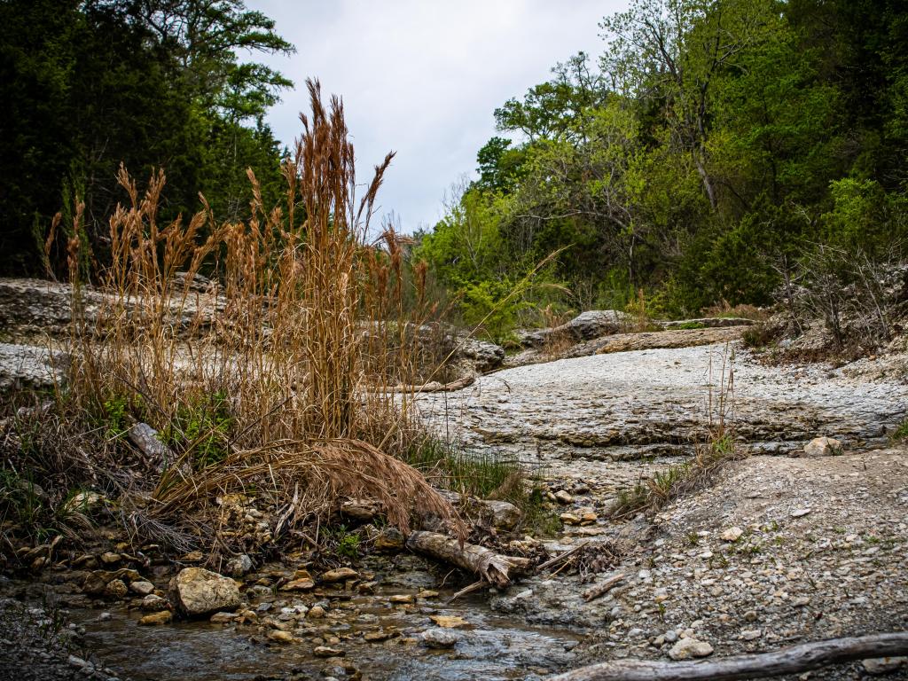 Chalk Ridge Falls Park, Texas, USA with grass and a stream in the foreground, trees and rocks in the distance. 