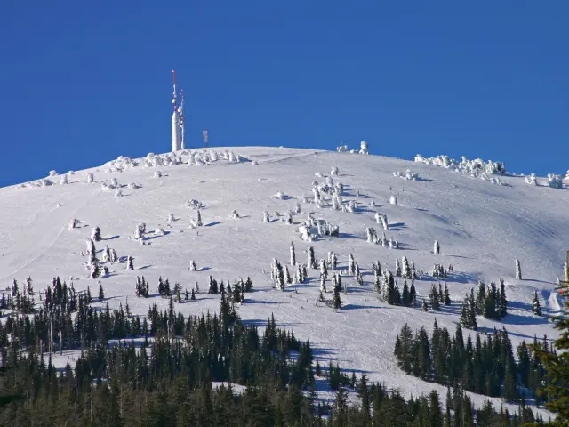 Snow-covered ski slope in Spokane with a few trees and blue sky visible in the distance on a sunny day