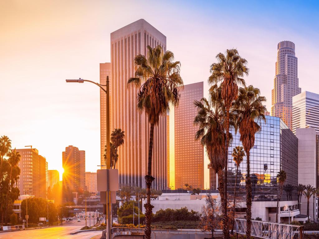 Los Angeles, USA with the the skyline of the city with palm trees in the foreground during sunrise.