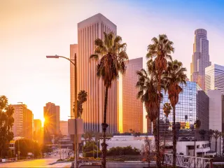 Los Angeles, USA with the the skyline of the city with palm trees in the foreground during sunrise.