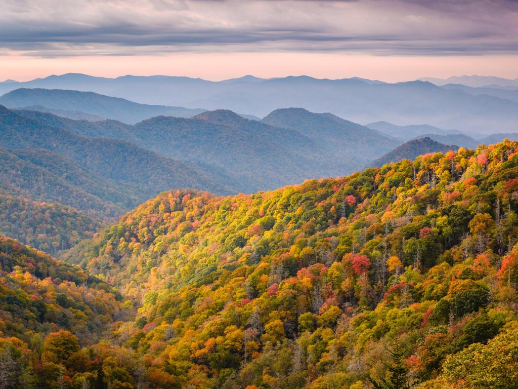 Great Smoky Mountains National Park, Tennessee, USA overlooking the Newfound Pass in fall at sunset with mountains in the distance and a soft light. 