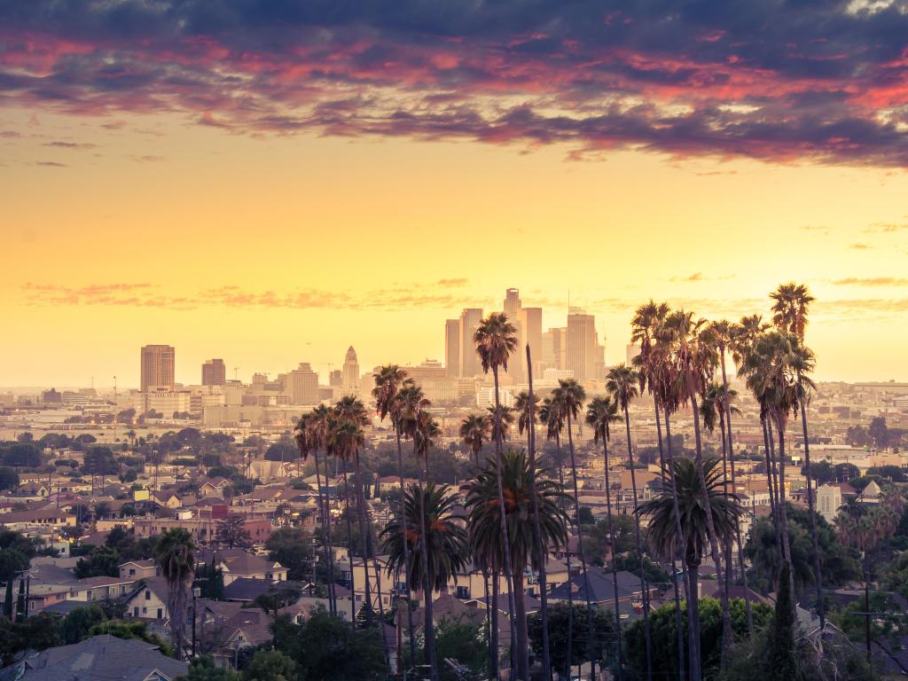 Los Angeles, California, USA with a beautiful sunset of Los Angeles downtown skyline and palm trees in foreground.