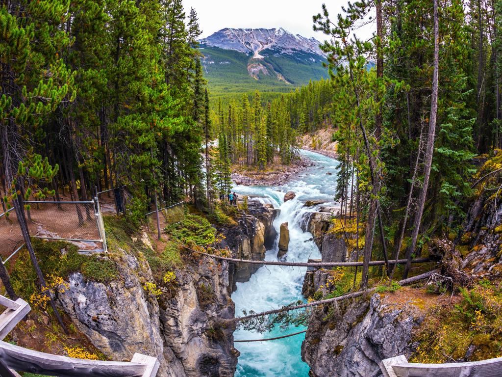 Jasper National Park, Canada with a small island in the river, the waterfall rushes to the rocky shores. 