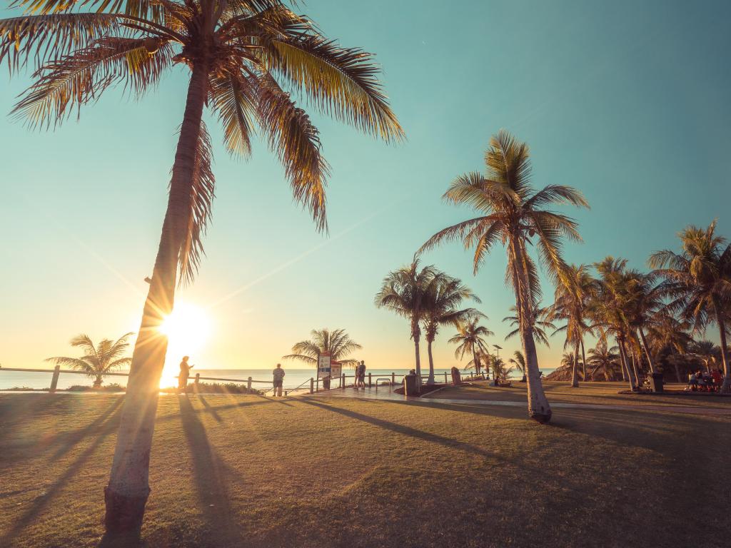 Palm trees on the beach in Broome during a sunny day