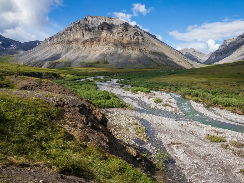 A stream flowing in the summer time in Gates of the Arctic National Park