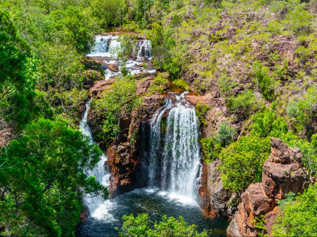 Litchfield National Park, Northern Territory, Australia overlooking Florence Falls surrounded by trees and plants.