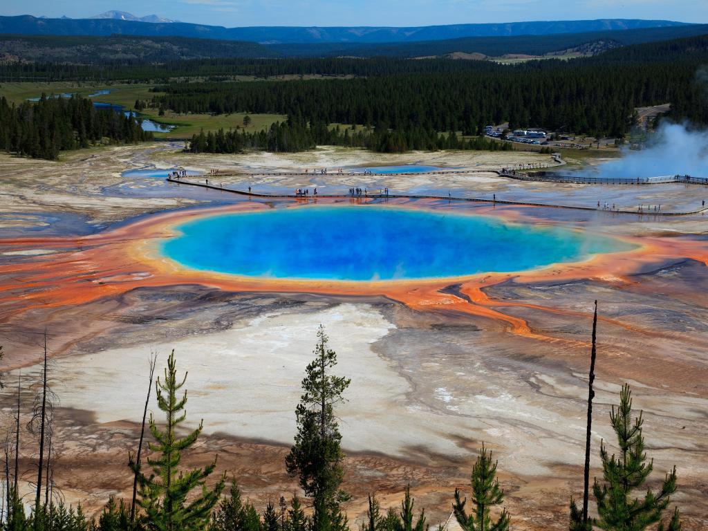 Yellowstone National Park, Grand Prismatic Springs, USA with the fantastic turquoise water surrounded by trees on a sunny clear day.