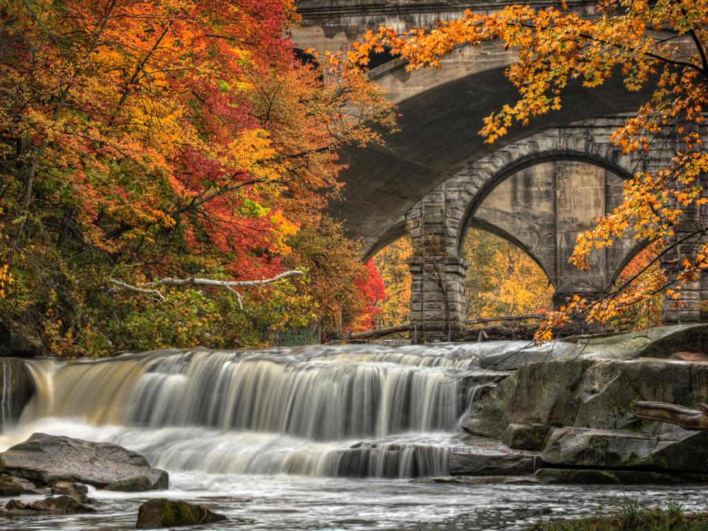 Berea Falls during peak fall colors. This cascading waterfall looks it's best with peak autumn colors in the trees. You can see the stone arch train bridges in the background crossing the Rocky River.